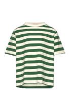 THE ANIMALS OBSERVATORY Stripes Freen Collie T-Shirt Grön