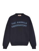 THE ANIMALS OBSERVATORY Navy Leo Sweatshirt Marinblå