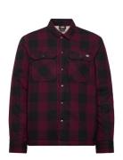 Dickies M Lined Sacramento Burgundy