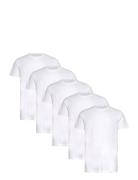 Claudio Claudio 5-Pack T-Shirt Cotton Vit