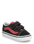 VANS Old Skool V Svart