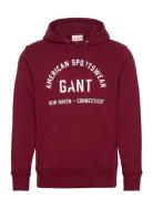 GANT Printed Graphic Hoodie Burgundy