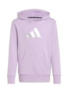 Adidas Sportswear Jg Glam Hd Lila