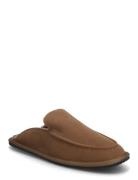 BOSS Home_Mule_Msfr Brun