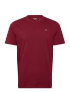 Hollister Icon Crew Knit T Shirt Burgundy
