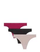 Calvin Klein Thong 3 Pk Burgundy