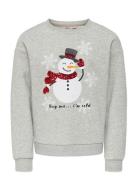 Kids Only Kogyda Life Xmas L/S O-Neck Box Swt Grå