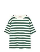THE ANIMALS OBSERVATORY Stripes Freen Collie T-Shirt Grön