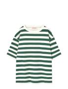 THE ANIMALS OBSERVATORY Stripes Freen Collie T-Shirt Grön