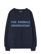 THE ANIMALS OBSERVATORY Navy Leo Sweatshirt Marinblå