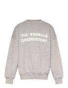 THE ANIMALS OBSERVATORY Frey Leo Sweatshirt Grå