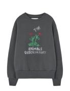 THE ANIMALS OBSERVATORY Flowers Dark Frey Bear Sweatshirt Grå