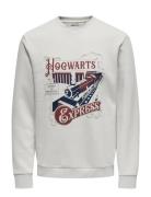ONLY & SONS Onsxmas Reg Crew Hp Grå