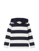 Tom Tailor Striped Hooded Longsleeve Marinblå