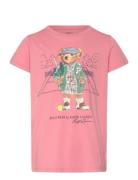 Ralph Lauren Kids 30/1 Jersey-Bearsscntee-Kn-Tsh Rosa