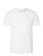 Selected Slhnewpima Ss O-Neck Tee Noos Vit