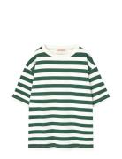 THE ANIMALS OBSERVATORY Stripes Freen Collie T-Shirt Grön