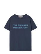 THE ANIMALS OBSERVATORY Navy Orion T-Shirt Marinblå