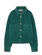 THE ANIMALS OBSERVATORY Freen Beabull Shirt Grön