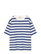 THE ANIMALS OBSERVATORY Stripes Navy Collie T-Shirt Blå
