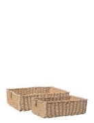 ERNST Basket
