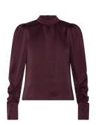 Dante6 Dante6-Pristine Turtle Top Burgundy