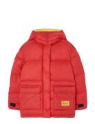 THE ANIMALS OBSERVATORY Lemur Kid Puffer Jacket Maroon Röd