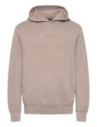 Superdry Micro Logo Hood Beige