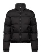 Superdry Sport Non Hooded Tech Padded Jkt Svart