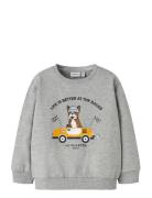 Name It Nmmroval Ls Sweat Bru Box Grå