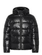 Calvin Klein Ls Glossy Channeled Puffer Jkt Svart