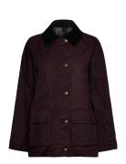 Mango Cotton Parka With Corduroy Collar Burgundy