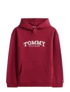 Tommy Hilfiger Monotype Print Hoodie Burgundy