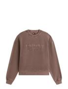 Tommy Jeans Tjw Bxy Gmd Script Crew Brun