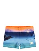 Molo Norton Placed Marinblå