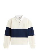 Tommy Hilfiger Gold Btn Rugby Terry Swtsrt Kräm