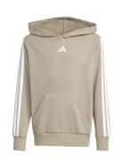 Adidas Sportswear J 3S Fl Hd 225 Beige