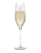 Holmegaard Cabernet Champagneglas 29 Cl 6 Stk. Nude