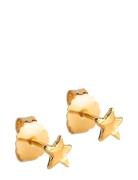 Enamel Copenhagen Star Energy Studs Guld