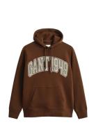 GANT Graphic Hoodie Brun