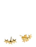 Timi Of Sweden Skylar - Star Climber Earrings Mini Stainless Stee Guld