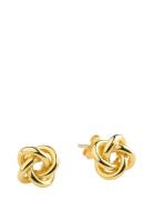 Timi Of Sweden Edith - Mini Knot Stud Earrings Guld