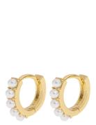 Timi Of Sweden Essie - Pearl Hoop Earrings Guld