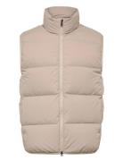 Scandinavian Edition Script Beige