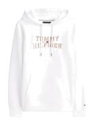 Tommy Hilfiger Icon Intechno Hoody Vit