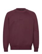 C.P. Company Logo Embroidered Sweatshirt Burgundy